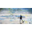 «Elysant Day Of Surfing» par Parvez Taj, reproduction d'art sur bois sans cadre-1201411685