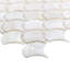 Oyster 1" Fish Scale Polished Pearl Mosaic Tile
