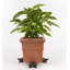 Zumalai Weather Resistant Planter Feet