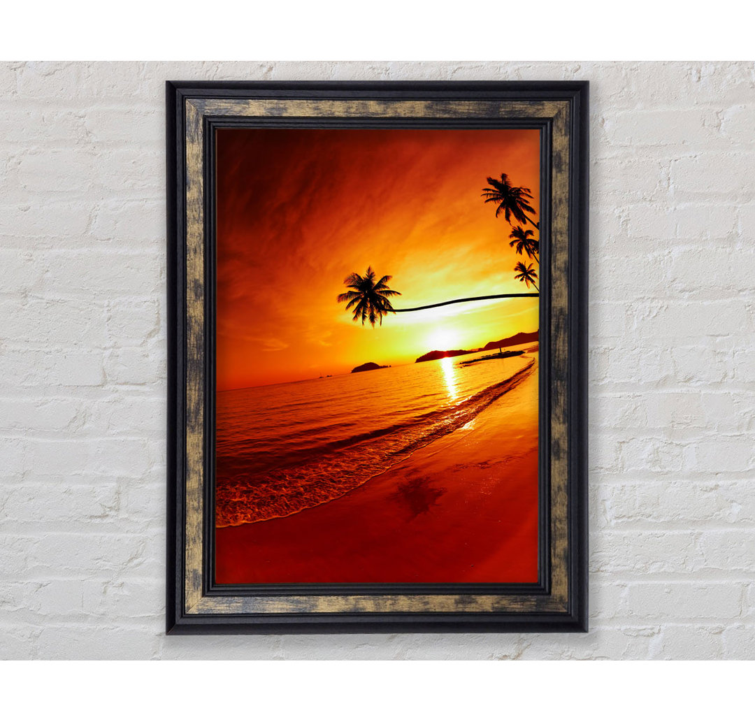 Gerahmtes Bild Ocean Sunset Palm