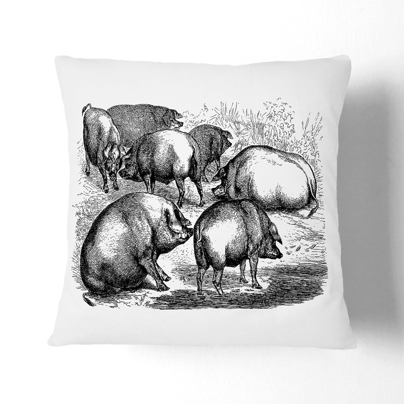 Pigs Illustration Cushion with Filling, 55cm H x 55cm W x 20cm D