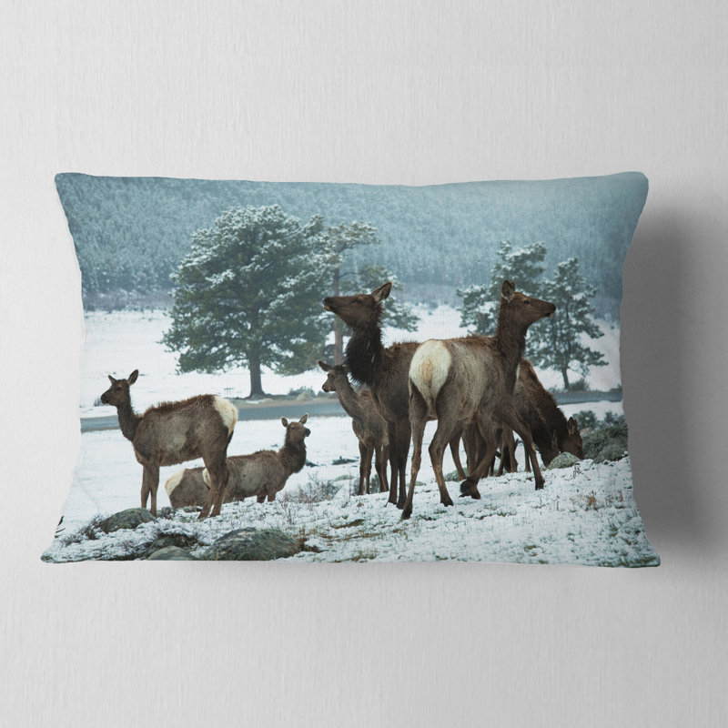 Coussin Gang of Deer in Rocky Mountains, Rectangulaire, 12 po x 20 po