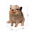 Sitting Pig Looking Up