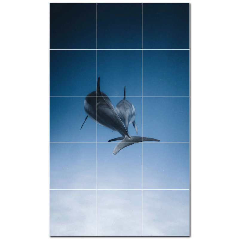 Photo d'un dauphin 4,25 x 4,25
