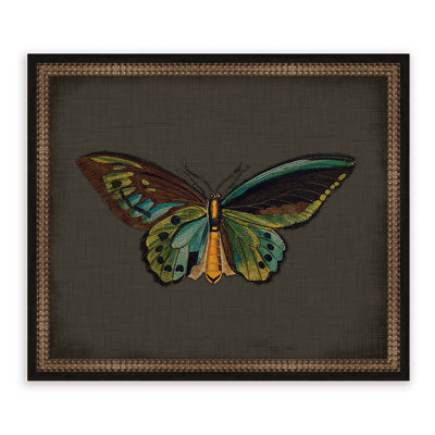 « papillons on black vi », impression encadrée