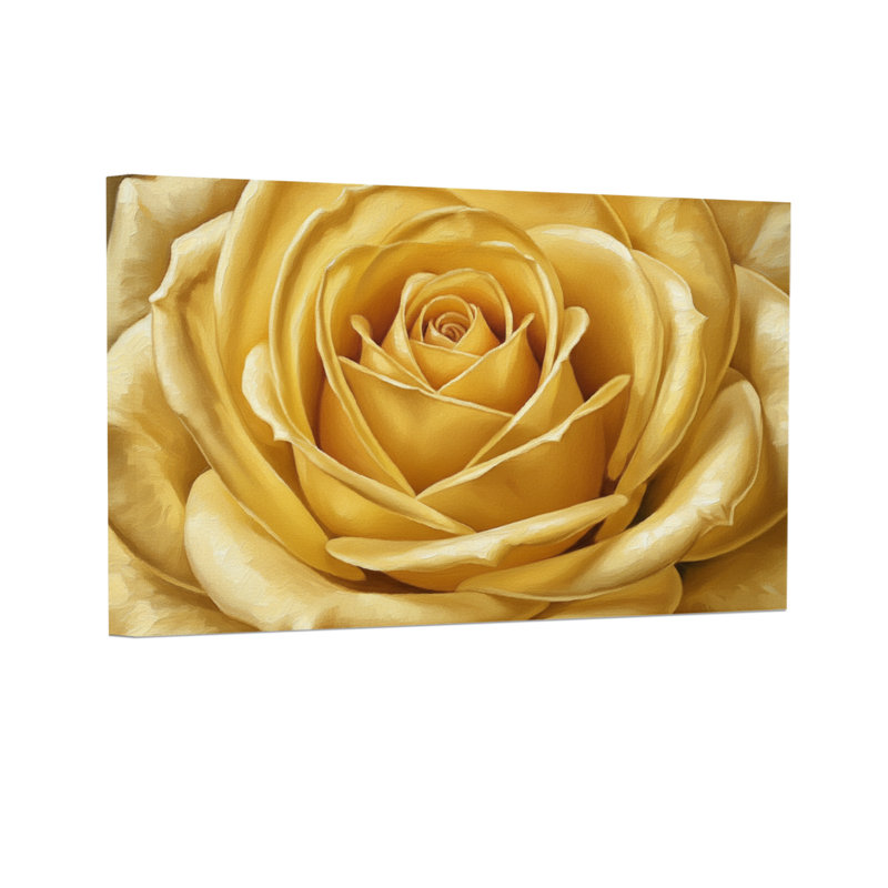 Plantes et fleurs, rose doré, gros plan, détail de pétales, H 12 po x l 18 po