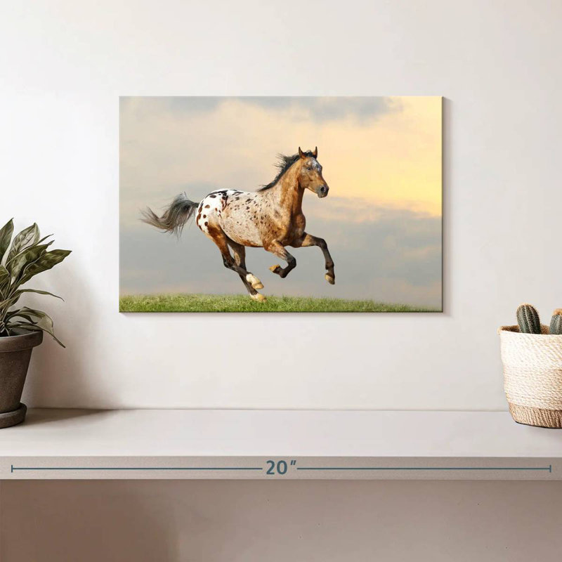 Étalon majestueux Bramalo Appaloosa, H 8 po x l 12 po