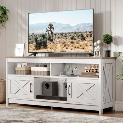Stellan 59" Rectangular Farm House TV Stand with 2 Cabinets for TVs up to 65" For Living Room