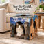 Habitation pour chat Conchetta