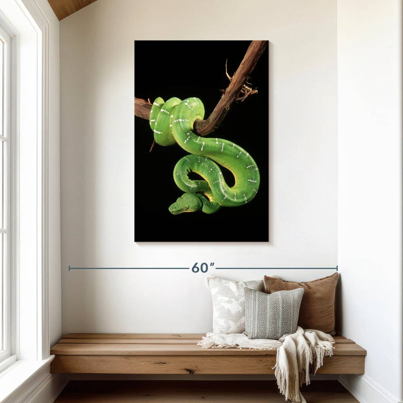 Brampt Hanging Emerald Tree Snake, 45" H x 30" W