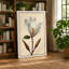 Magnolia Study Botanical - Wrapped Canvas-969606723-969606779