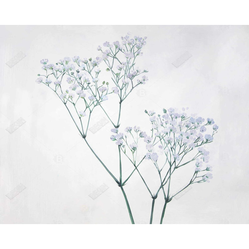 Baby's-Breath Flowers Print On Canvas