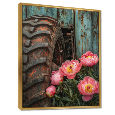 Pe pivoines par le vieux tracteur I - pivoines, reproduction sur toile encadrée