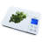 Ozeri Digital Scale