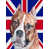Bull-terrier (brun et blanc) sélectionné