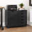 Rachana 78cm W 5 -Drawer Mobile File Cabinet, Storage Cabinet with 5 Drawers 1 Door