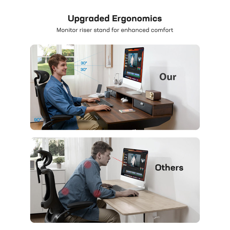 Height Adjustable Electric Standing Desk With Storage Shelf And Pull-Out Drawer, Modern Ergonomic Computer Workstation