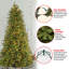 The Holiday Aisle® Tiffany Fir Slim Tree with Clear Lights-477513481