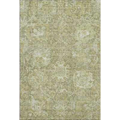 Premium Machine Washable Wayne AMF1101 Damask Rug