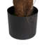 120cm Plant