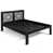 Black Lacquer selected