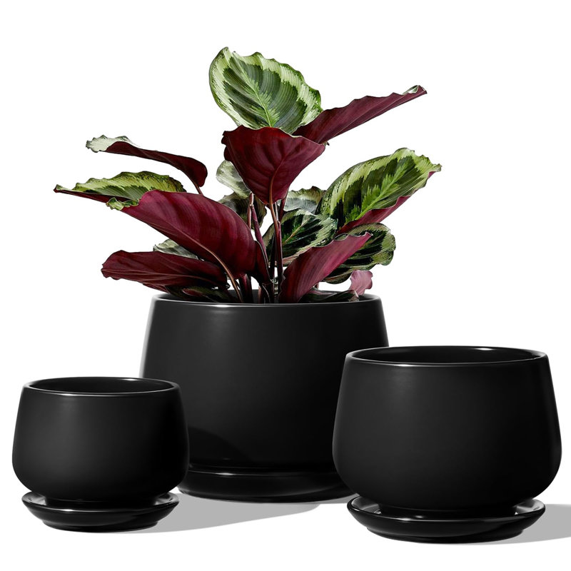 Ceramic Plant Pots 4.1+5.1+6.5 inch, Black