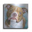 Art mural en métal Red Barrel Studio «Must Love Dogs American Pit Bull» par Lindsay Kivi-961292265