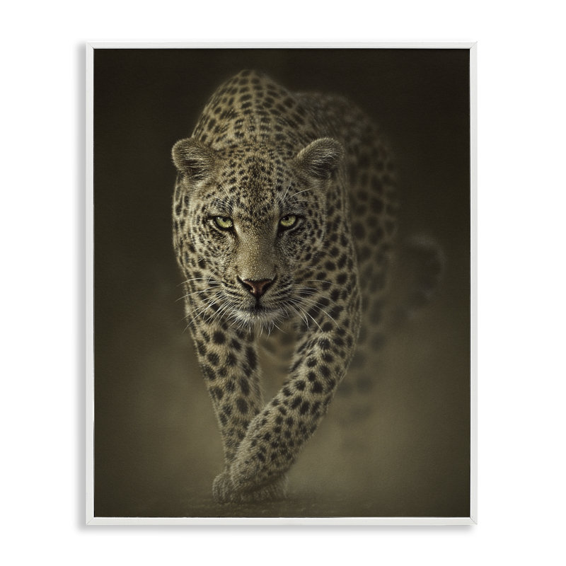 Giclée encadrée par un prédateur sauvage, conception par Collin Bogle, H 14 po x l 11 po