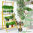 Solid Wood 3 Tier Plant Stand