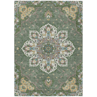 Machine Washable Indoor/Outdoor Huseby ACN2194 Global Rug