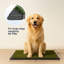 Tapis pour chien 3 couches Pet Adobe 20x30-127125654