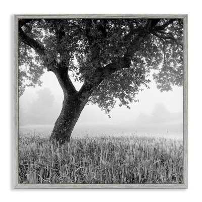 «Tuscan Morning Scenery», estampe numérique par Chip Forelli