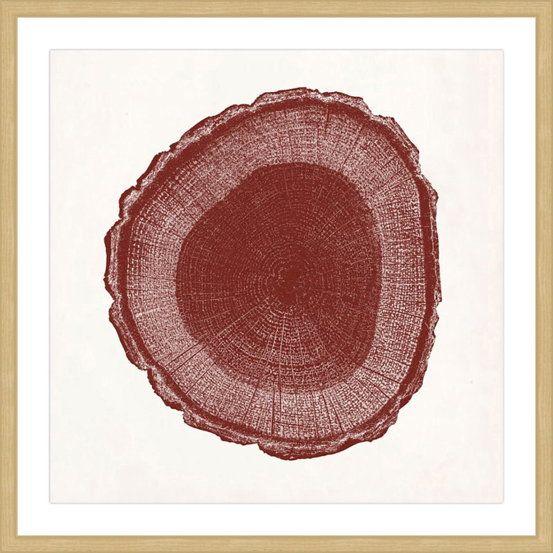 "Tree Ring I" Framed Print, 24"H x 24" W x 1.5" D