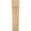 Attelle impériale du genou-31229277-29309855-31229350