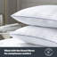 Silentnight Hotel Collection Luxury Piped Pillows