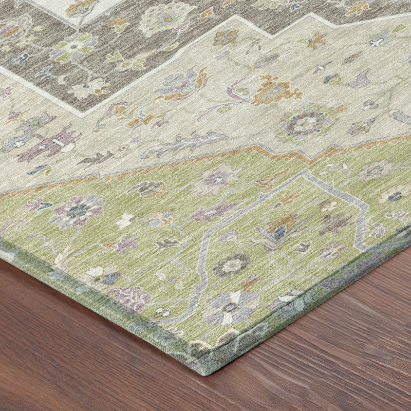 Tapis traditionnel lavable à la machine intérieur / extérieur ACN2533, Aloès, Rectangulaire 3 pi x 5 pi
