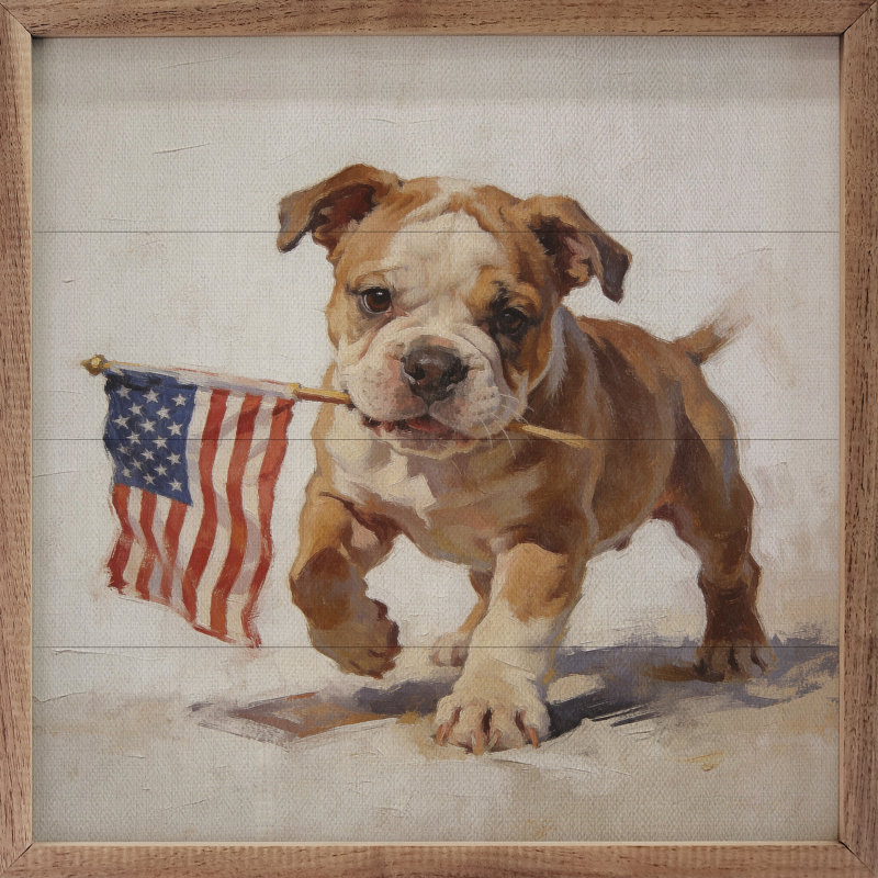 Bouledogue anglais patriotique, H 8 po x l 8 po