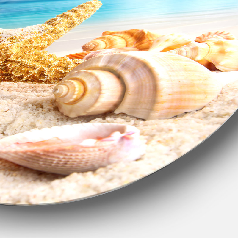 «Starfish and Seashells on Beach», photographie, H 11 po x l 11 po x P 1 po, Métal