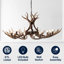 Lustre Rohrbach-1727971514-1665339195