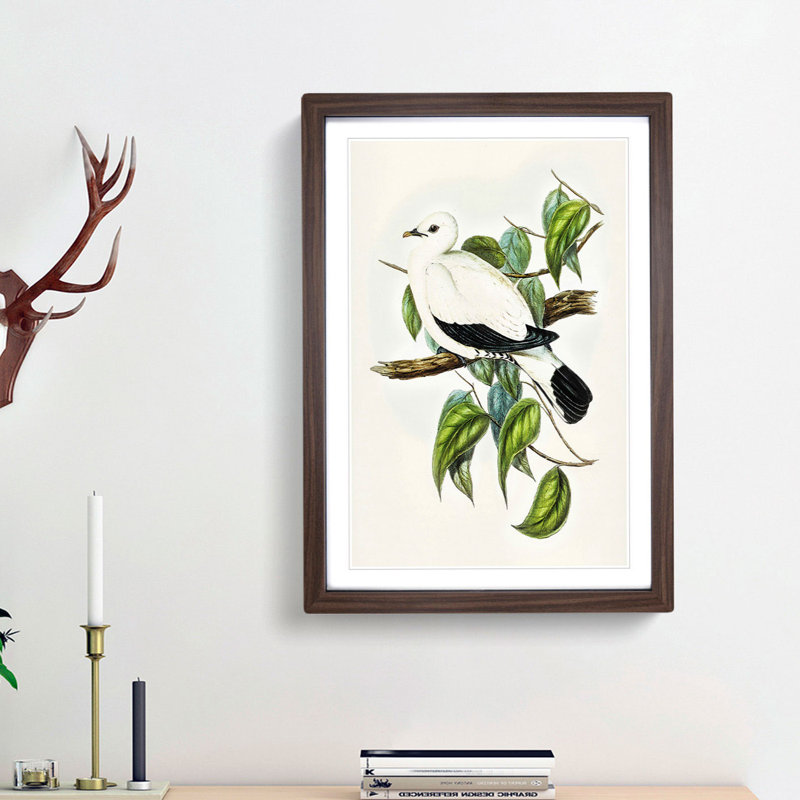 Torres Strait Fruit Pigeon by Elizabeth Gould - Picture Frame Painting Print, 48cm H x 36cm W x 2cm D, Walnut Framed