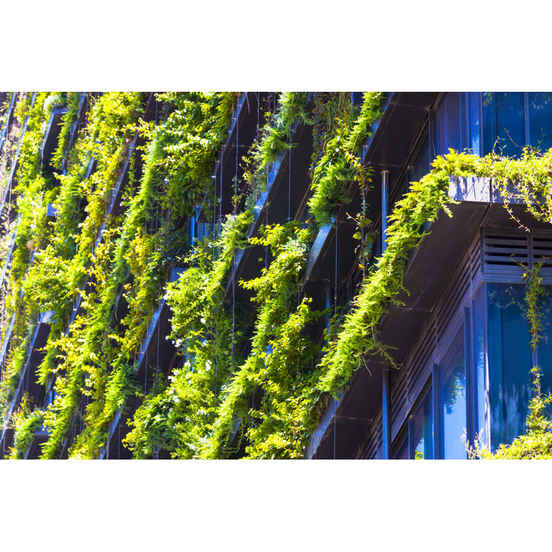 Vertical Garden by Imamember - Wrapped Canvas Print, 20cm H x 30cm W