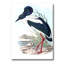 Oiseaux australiens rétro I - Impression sur toile-59761873-59761876