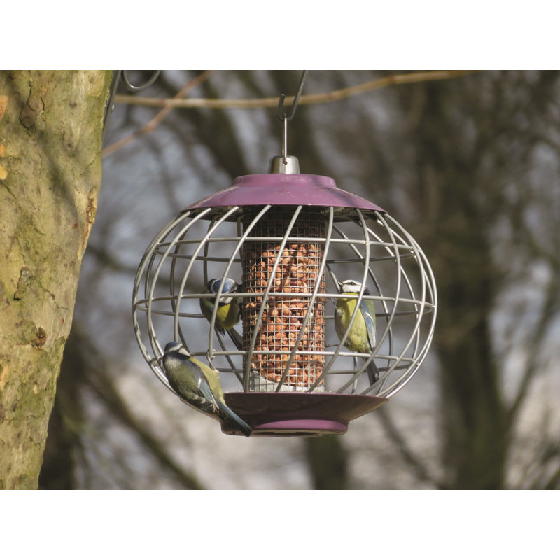 Suhaani Hanging Hopper Bird Feeder