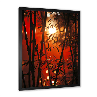 " Bamboo Sunset "