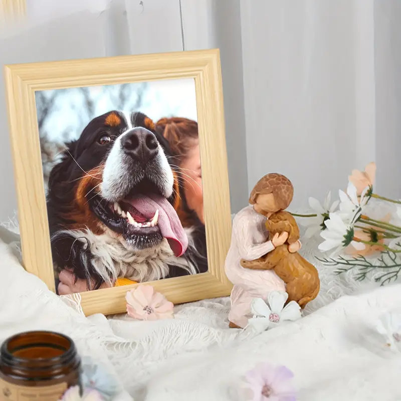 Warm Embrace: The Girl and Her Dog