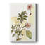 Impatiens Study, impression sur toile tendue-1921560831