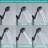 Handheld Shower Head 2.0 GPM GPM-94400325