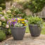 Planter-1948601842