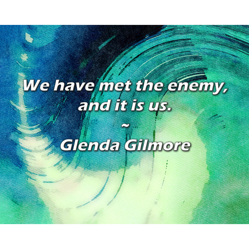 Glenda Gilmore Citation: Nous avons rencontré l'ennemi, et c'est nous.