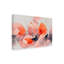 Fleurs de saumon